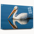 Side view of a vibrant pelican-themed wall art piece featuring intricate acrylic glass design, displayed with decorative pins against a neutral backdrop.