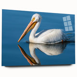 Elegant acrylic glass wall art showcasing a side view of a pelican, featuring vibrant colors and a modern design, perfect for enhancing home decor.