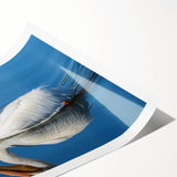 Pelican wall art print showcasing a colorful design with natural hues, ideal for beach-themed decor, rolled in a protective tube for easy display.