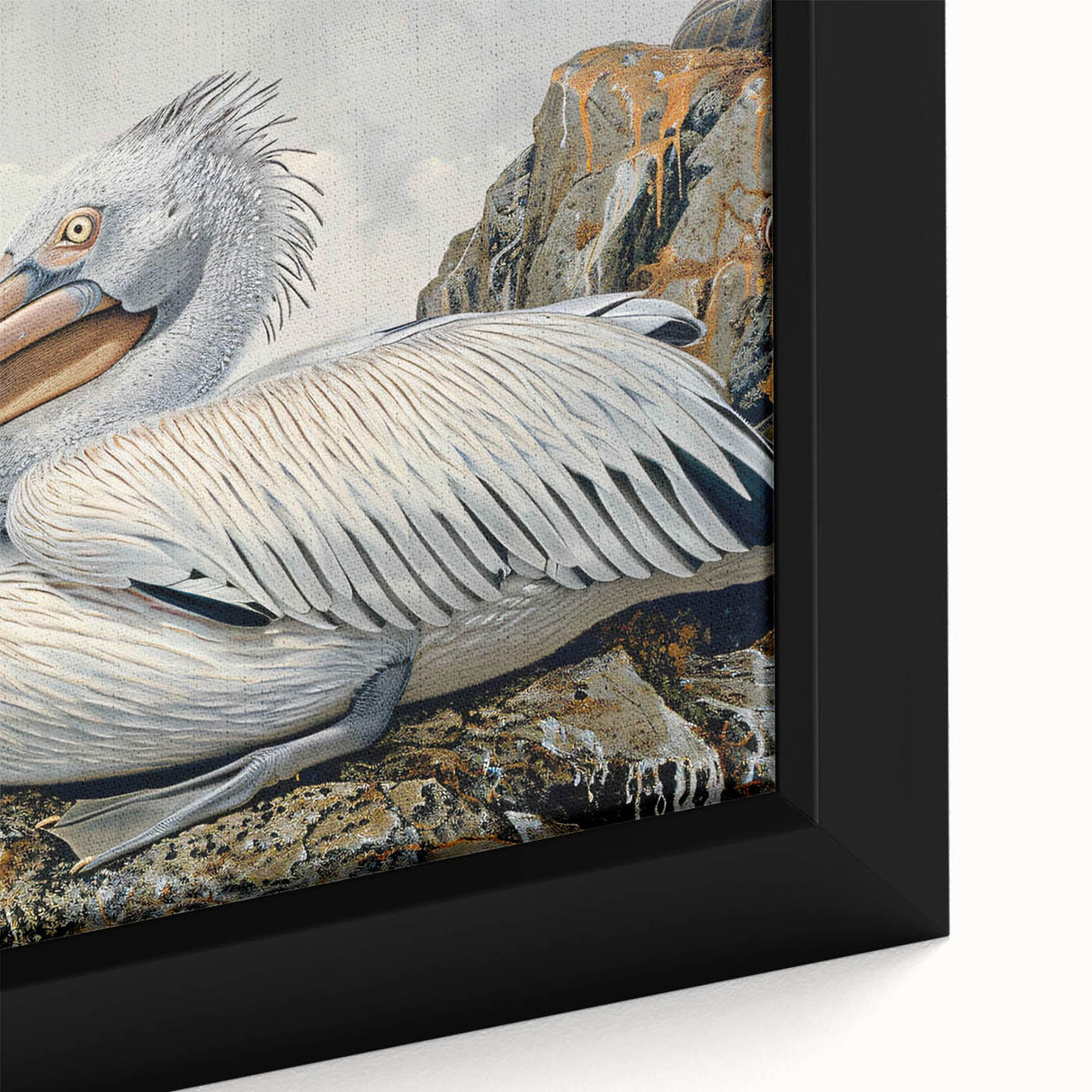 Close-up of a framed canvas wall art featuring a vibrant pelican design, showcasing intricate details and rich colors, perfect for beach-themed decor.