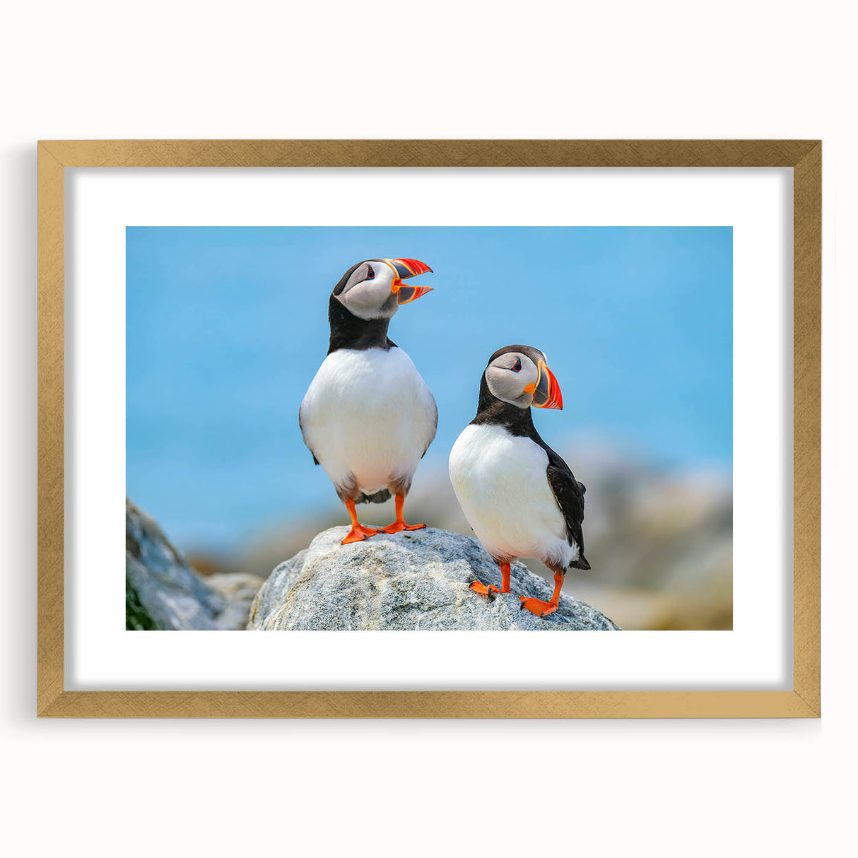 Framed wall art featuring a detailed puffin design with a gold mat, showcasing vibrant colors and intricate textures, perfect for enhancing home decor.