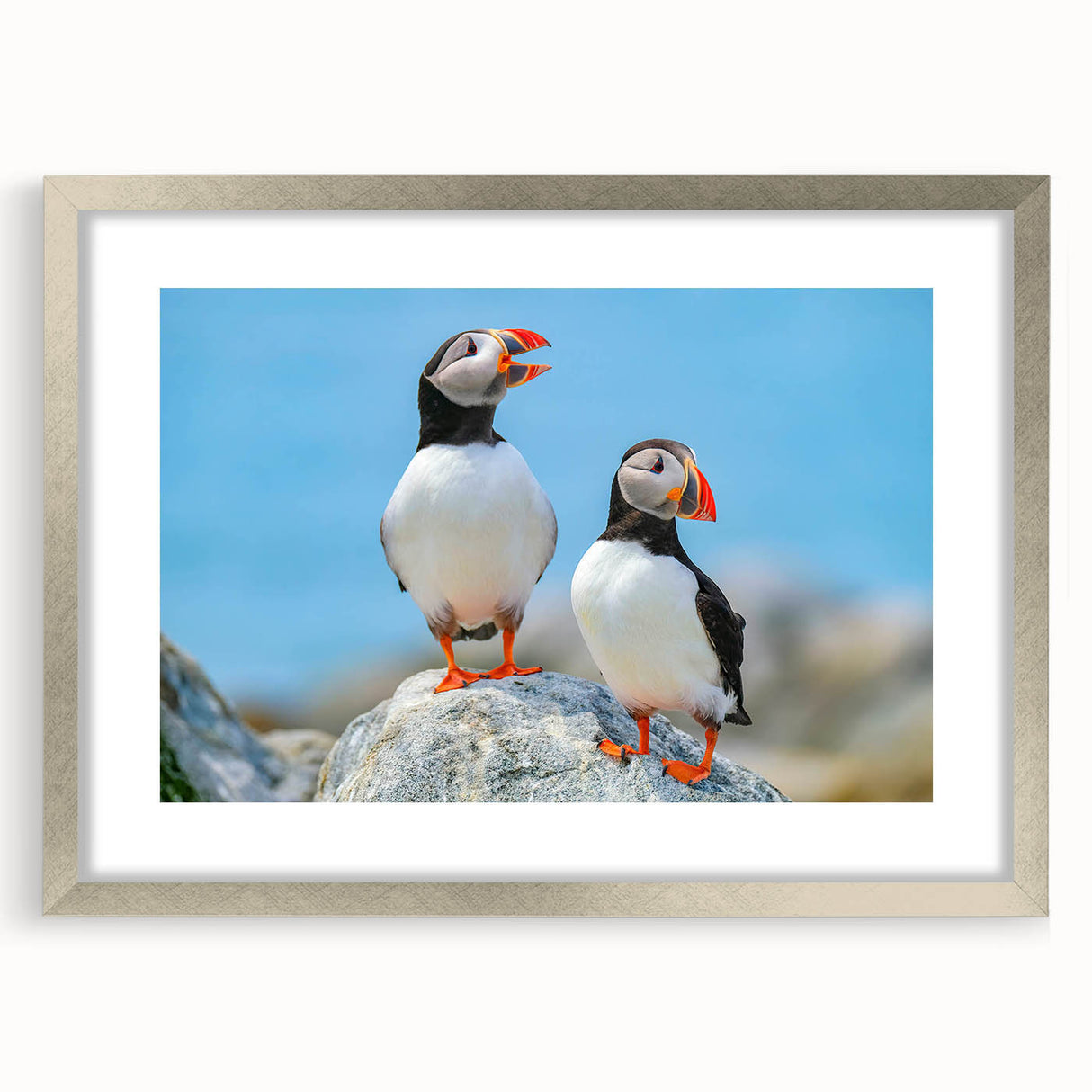 Framed wall art featuring a colorful puffin design, elegantly matted and encased in a sleek silver frame, perfect for enhancing home decor.