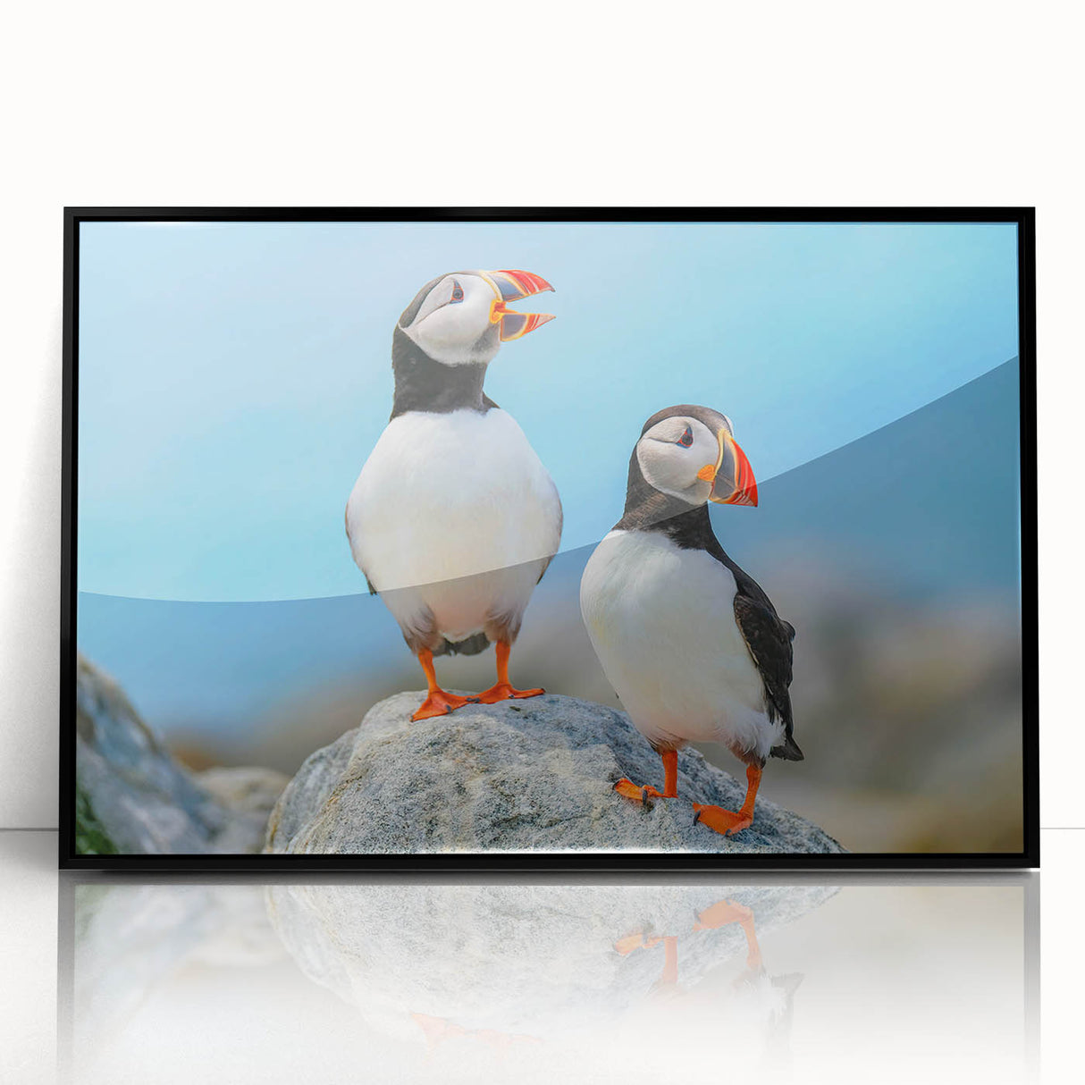 Framed wall art featuring a vibrant puffin design, showcased in a sleek black frame with acrylic front, perfect for adding a pop of color to any room decor.