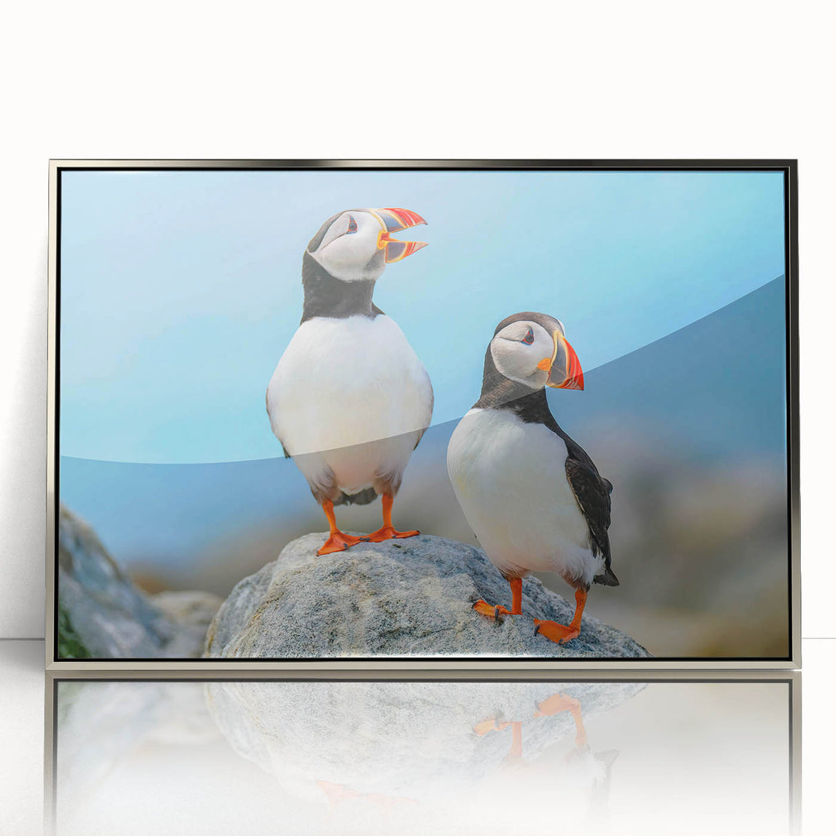 Framed wall art featuring a vibrant puffin design with acrylic finish, showcasing colorful details against a sleek silver frame, perfect for coastal decor.