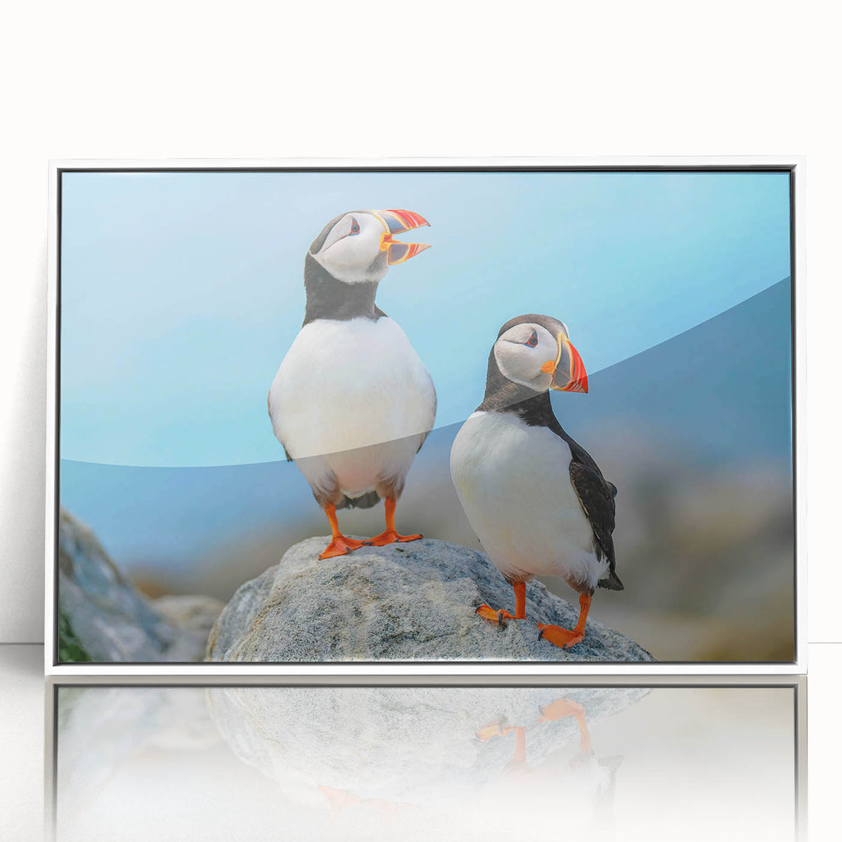 Framed acrylic wall art featuring a vibrant puffin design, set against a white background, perfect for adding a coastal touch to home decor.