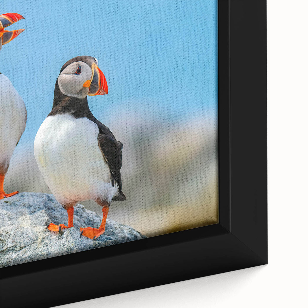 Framed canvas wall art showcasing a vibrant puffin design with intricate details, set against a soft pastel background, perfect for coastal-themed decor.