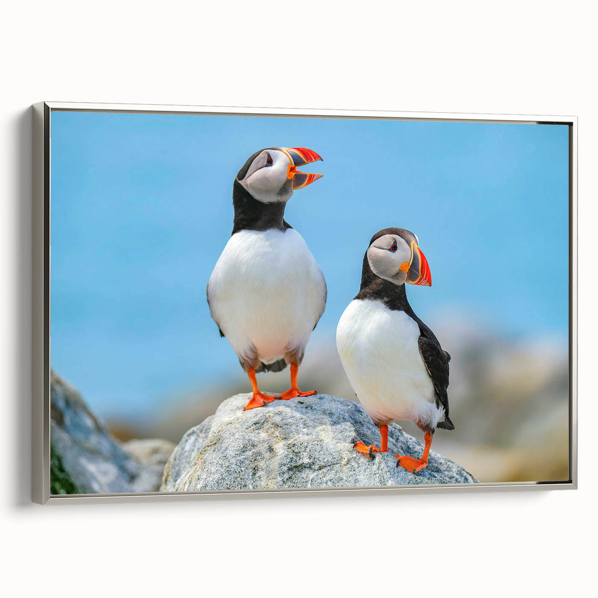 Framed canvas wall art featuring a colorful puffin design, displayed from a silver side view, ideal for coastal-themed home décor.
