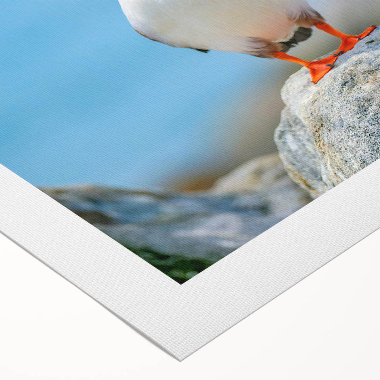 Vibrant rolled canvas art depicting a colorful puffin design, showcasing intricate details and textures, perfect for enhancing home decor. Ideal for bird lovers.