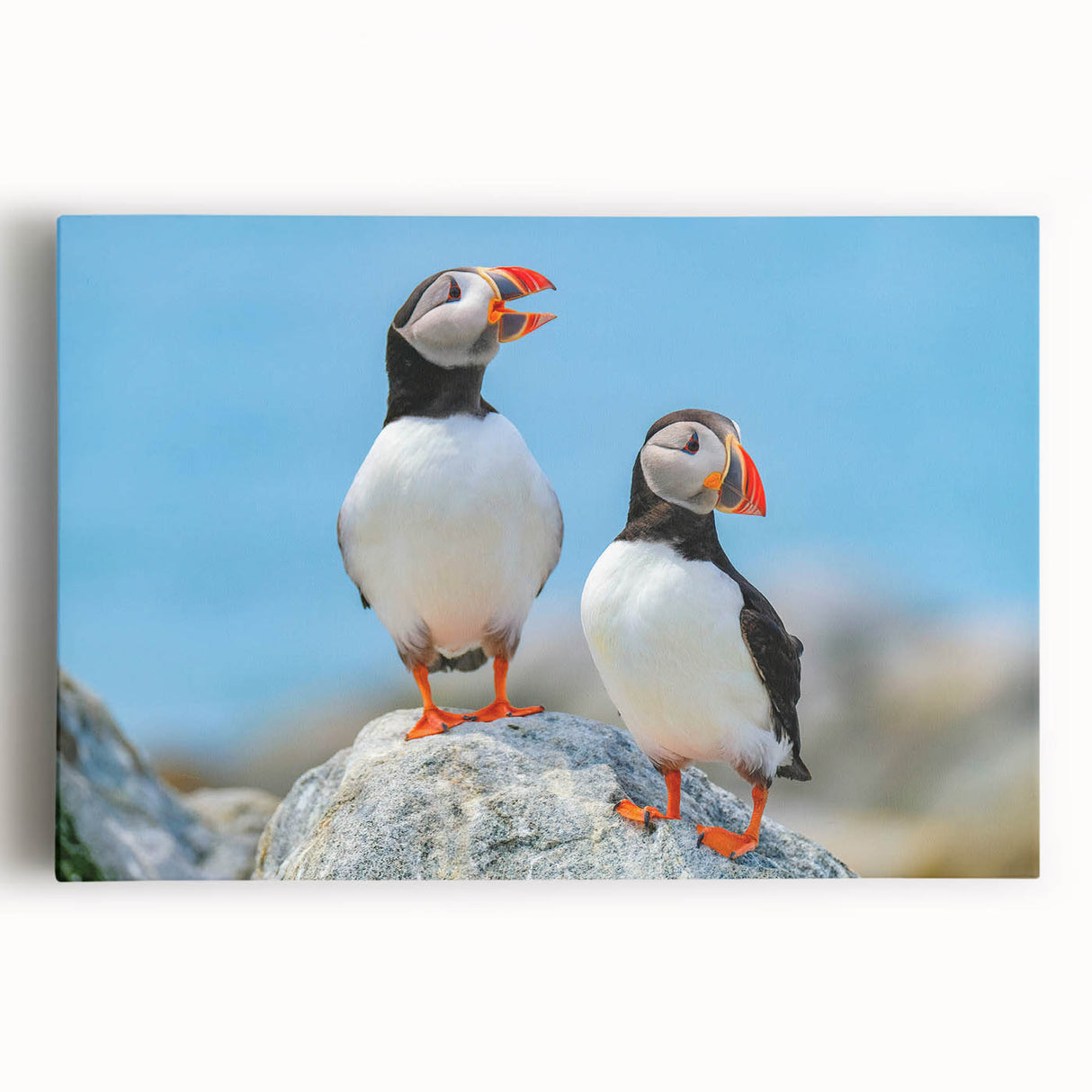 Puffin design wall art collection displayed on stretched canvas, showcasing vibrant colors and intricate details in a coastal-inspired setting, perfect for home decor.