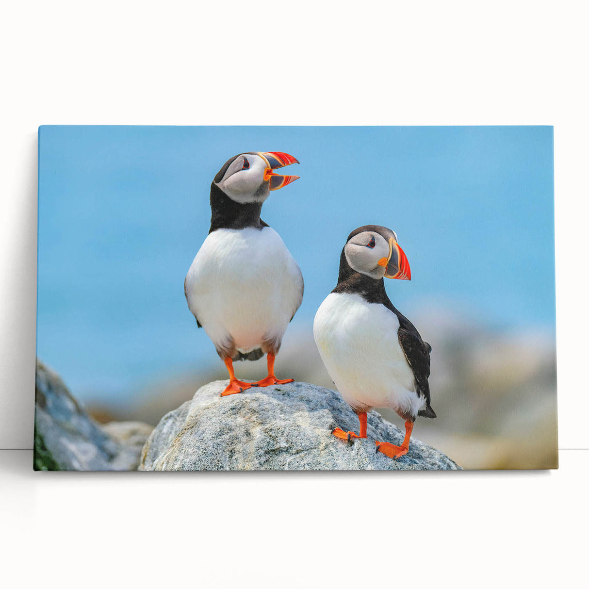 Colorful puffin wall art on stretched canvas, showcasing vibrant colors and intricate details, perfect for adding a coastal theme to home decor.