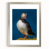 Framed wall art featuring a whimsical puffin design in vibrant colors, showcased with a silver mat and frame, perfect for adding a playful touch to home decor.
