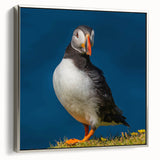 Framed wall art featuring a vibrant puffin design on a textured canvas, elegantly displayed in a silver frame, perfect for coastal-themed decor.