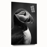 Colorful puffin wall art collection displayed in acrylic glass, showcasing vibrant bird designs in a modern side view, perfect for contemporary decor.