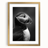 Framed wall art featuring a vibrant puffin design with a gold frame, showcasing colorful birds against a neutral background, perfect for home decor.