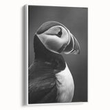 Framed canvas wall art featuring a colorful puffin design, presented in a white frame, showcasing vibrant colors and intricate details from a side view, perfect for enhancing any modern décor.