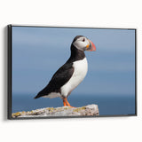 Framed canvas wall art showcasing a vibrant puffin design, set against a sleek black frame, ideal for modern home decor. The side view highlights its elegant finish and artistic details, perfect for nature enthusiasts and art collectors.
