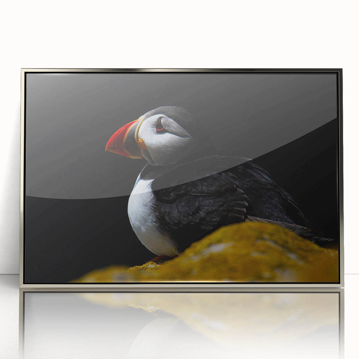 Framed wall art featuring a vibrant puffin design, showcasing detailed colors and textures in a sleek silver frame, perfect for modern decor.