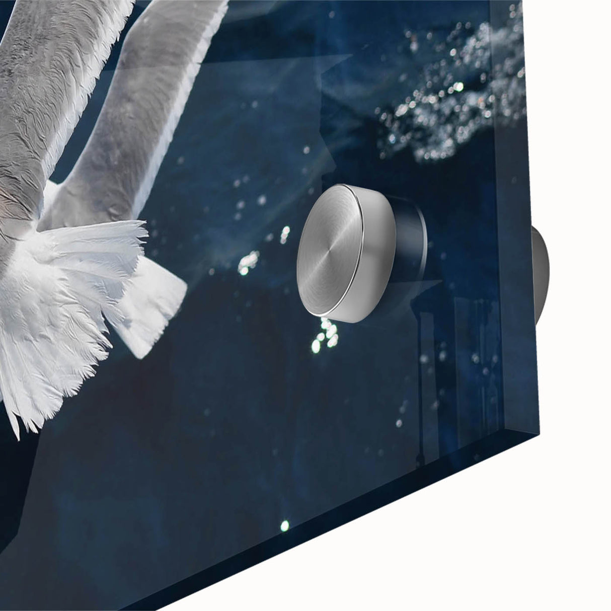 Close-up of a stunning sea birds wall art design, showcasing vibrant colors and intricate details on acrylic glass, perfect for coastal-themed decor.