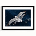 Framed wall art featuring a vibrant sea birds design, with a black frame and mat, showcasing colorful birds in a coastal setting, perfect for nautical decor.
