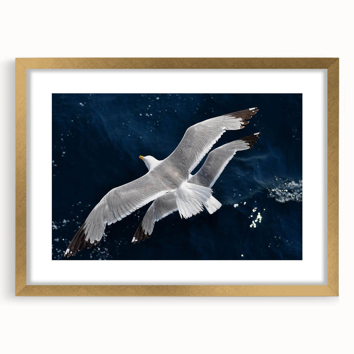Framed wall art showcasing a vibrant sea birds design, featuring gold accents and a mat, ideal for coastal home decor. Perfect for nature lovers and beach-themed interiors.