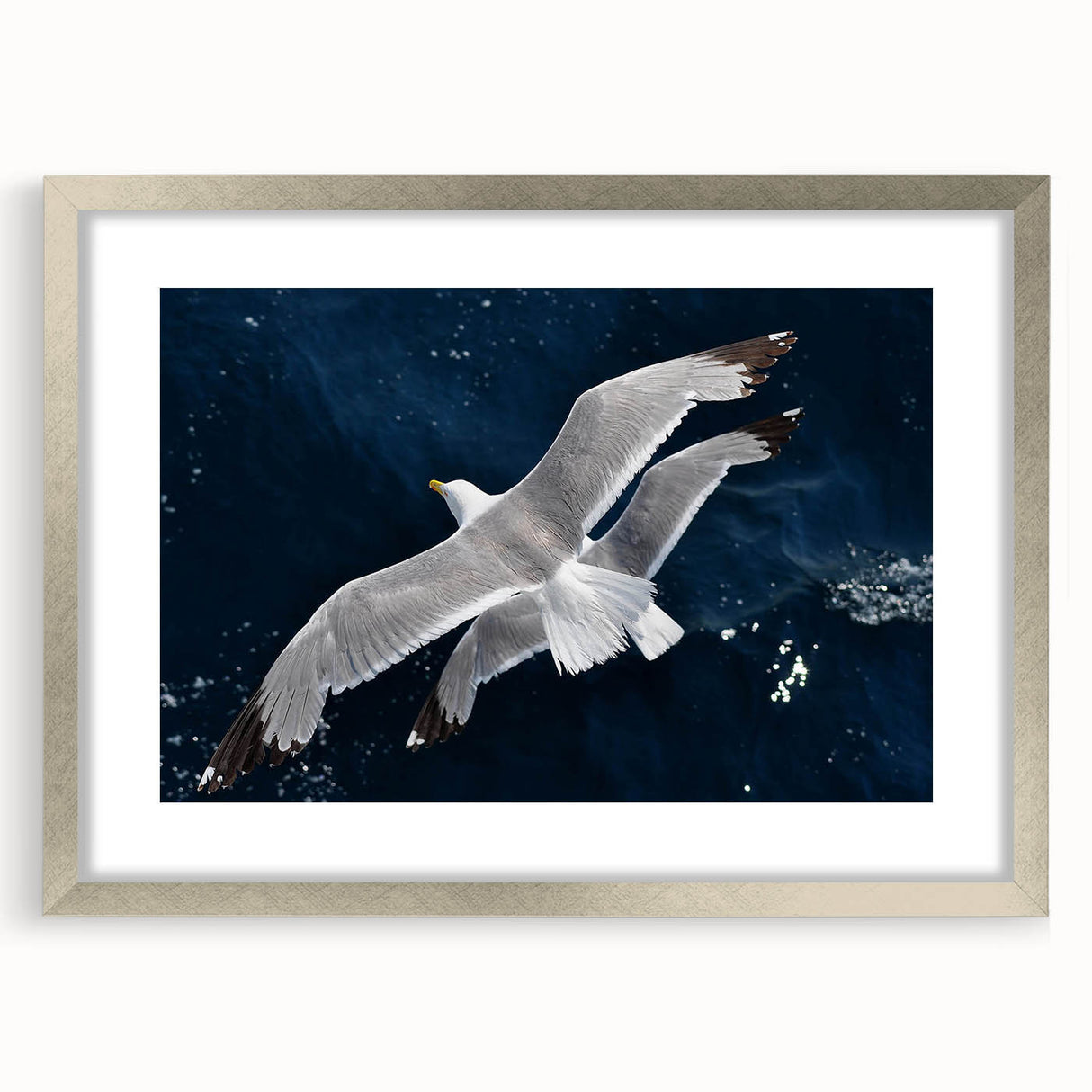 Framed wall art featuring a collection of elegant sea birds in a coastal design, displayed in a silver frame with a mat, perfect for enhancing home decor.