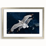 Framed wall art featuring a collection of elegant sea birds in a coastal design, displayed in a silver frame with a mat, perfect for enhancing home decor.
