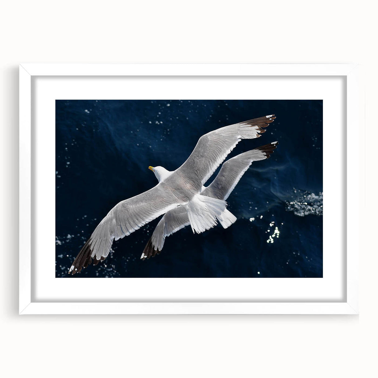 Framed wall art showcasing a serene design of sea birds in flight, featuring a white mat and sturdy frame, perfect for coastal or nature-themed decor.