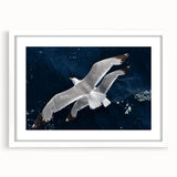 Framed wall art showcasing a serene design of sea birds in flight, featuring a white mat and sturdy frame, perfect for coastal or nature-themed decor.