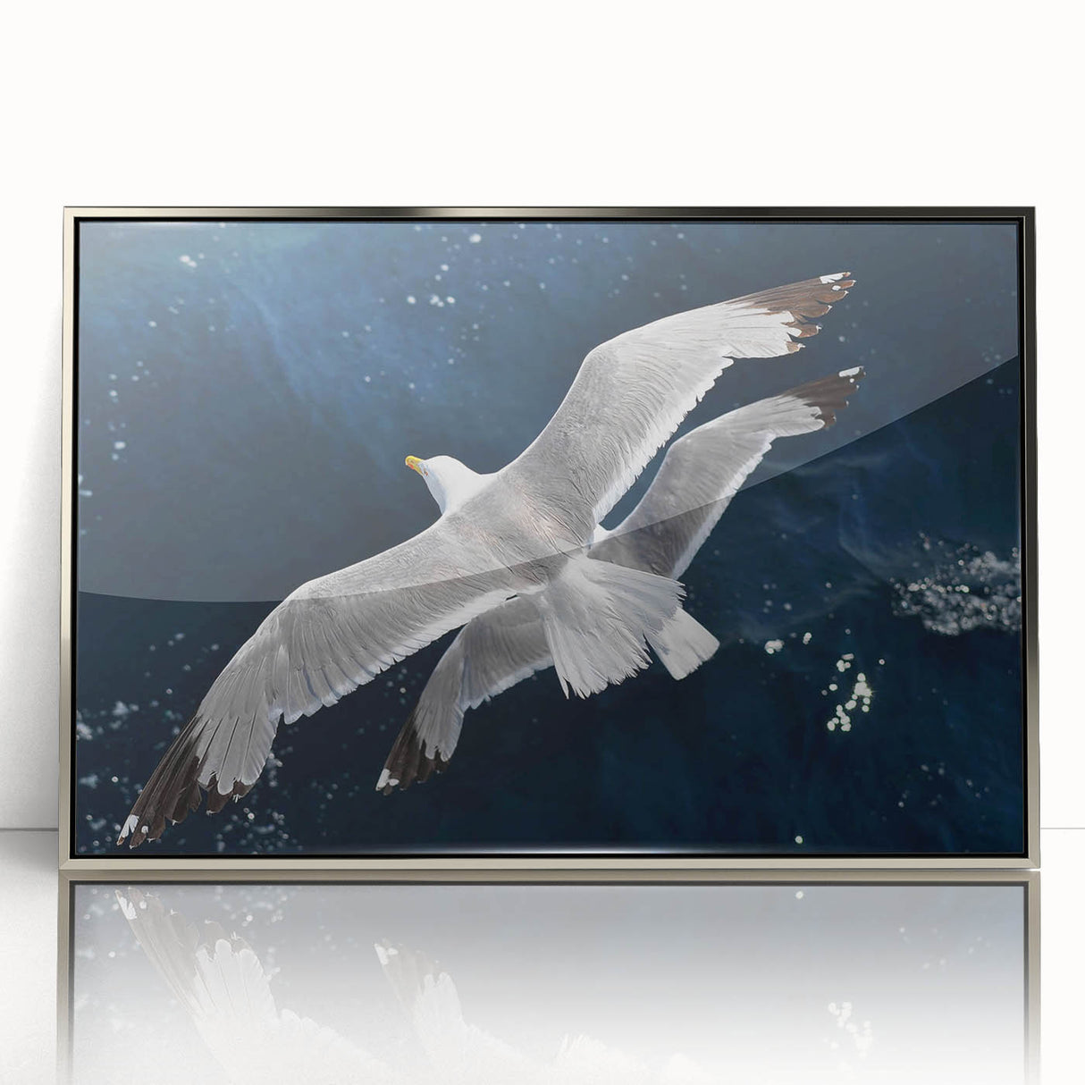Framed wall art featuring a collection of sea birds in a vibrant design, with a sleek silver frame and acrylic front, ideal for coastal-themed decor.