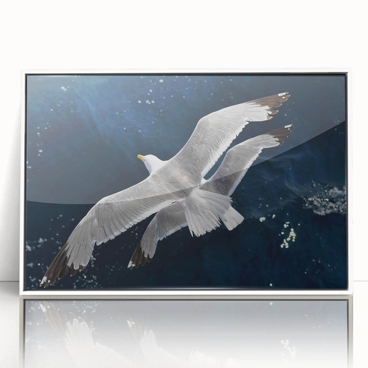 Framed wall art featuring a collection of elegant sea birds, showcasing intricate designs in soft colors against a white background, ideal for coastal decor.