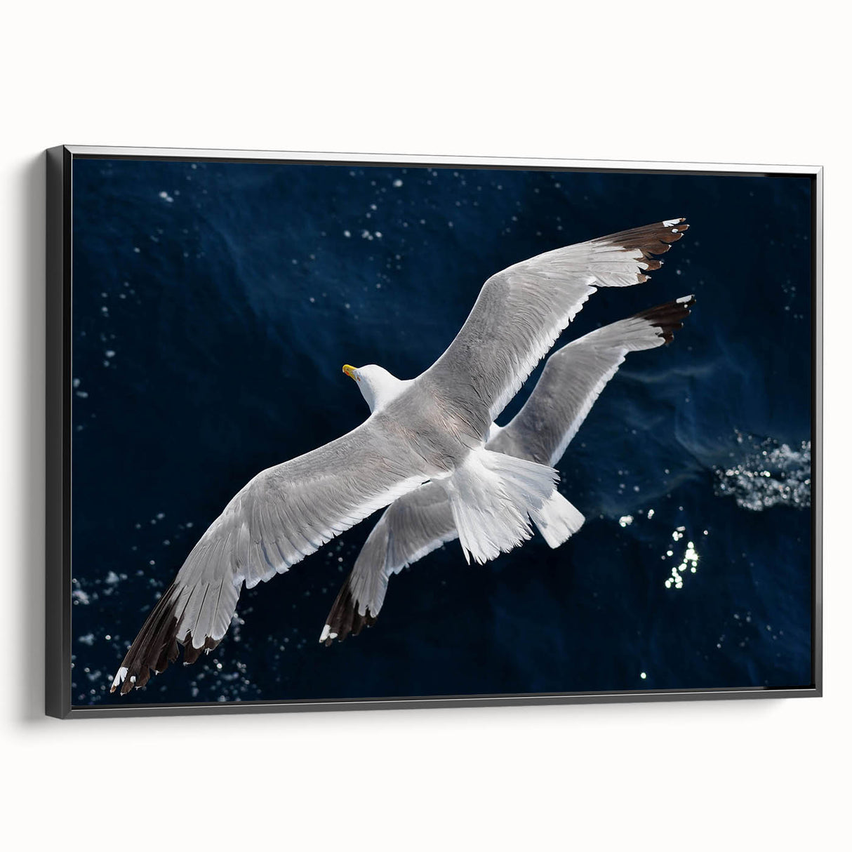 Framed canvas wall art featuring a vibrant sea bird design, showcasing various colorful birds against a serene blue background, perfect for coastal-themed decor.