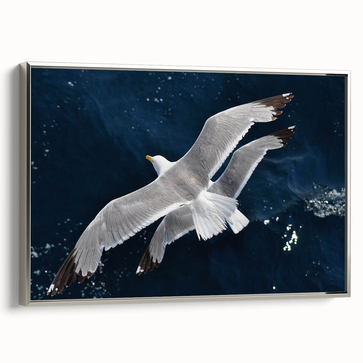 Framed canvas wall art showcasing a serene sea birds design in silver tones, highlighting intricate details of various seabirds against a minimalist background, perfect for coastal decor.
