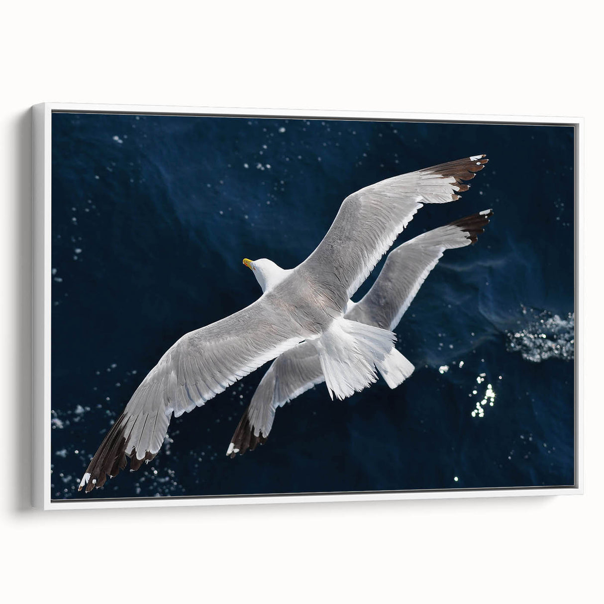 Framed canvas wall art featuring a serene sea birds design in soft pastel colors, showcasing a white frame and side view perspective, ideal for coastal decor.