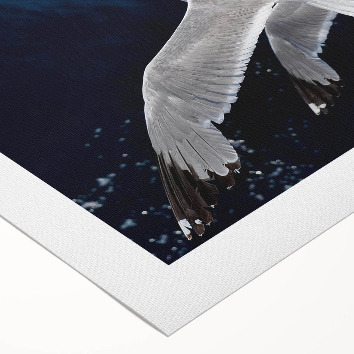 Vibrant rolled canvas wall art showcasing a collection of colorful sea birds in a coastal setting, ideal for enhancing home decor with nature-inspired design.