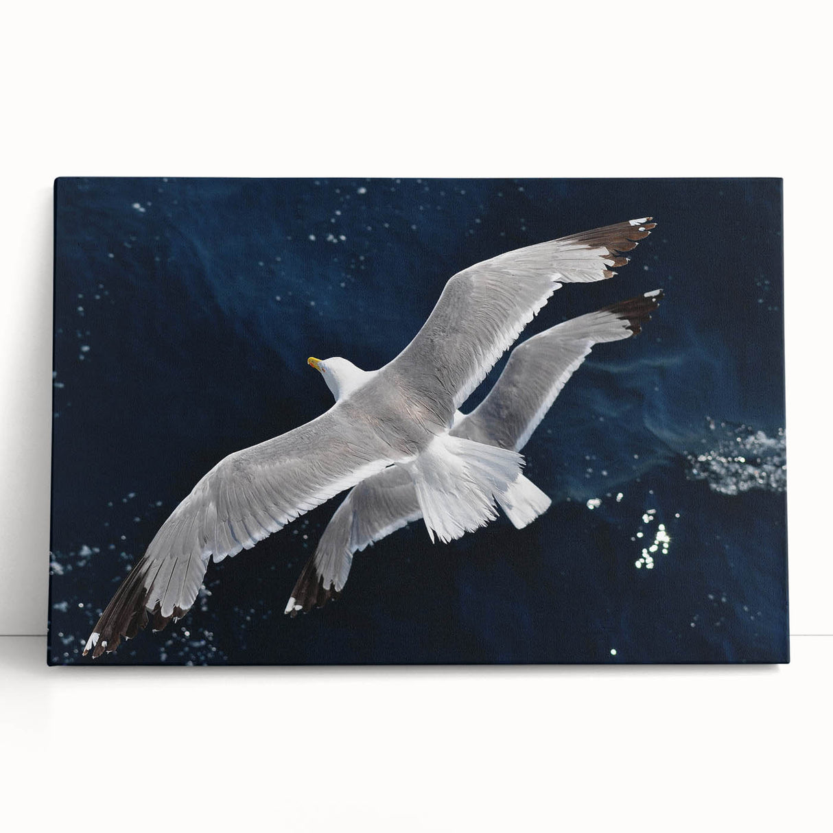 Stretched canvas wall art showcasing a vibrant sea birds design, featuring various colorful bird species against a soft blue background, perfect for coastal-themed decor.
