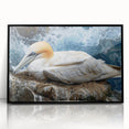 Framed wall art collection featuring three sea bird designs with a black acrylic frame, ideal for coastal-themed decor. Elevate your space with this stylish ocean-inspired artwork.