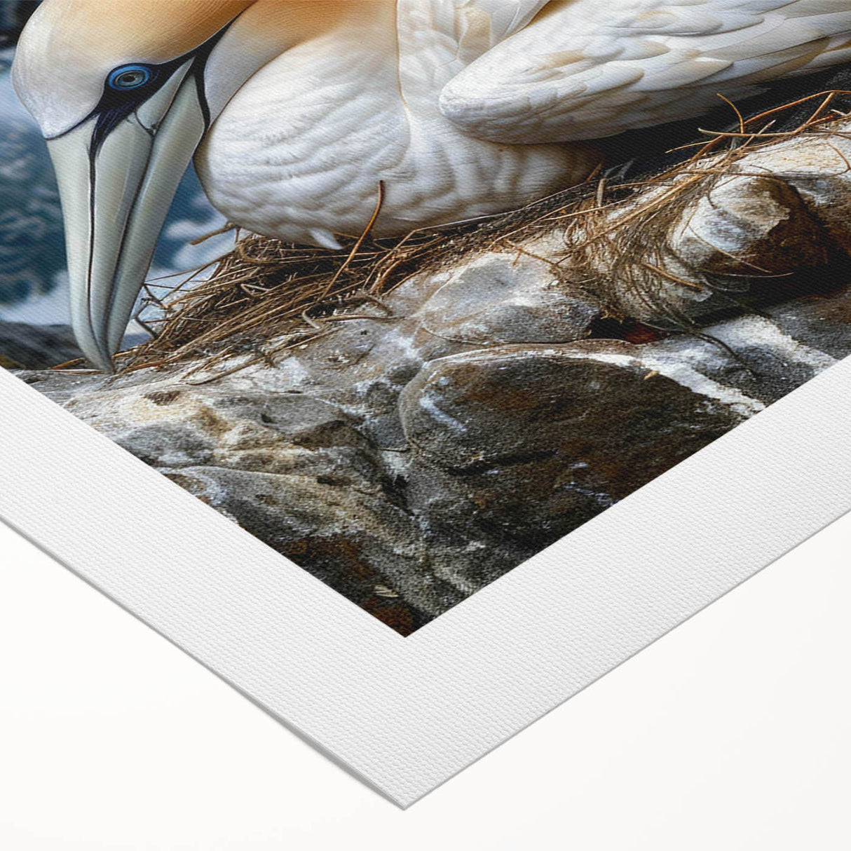 Colorful rolled canvas wall art showcasing a vibrant sea birds design, perfect for coastal decor, elegantly packaged for safe delivery in a durable tube.