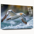 Acrylic glass wall art collection featuring vibrant sea birds in a colorful design, displayed from a side view with visible pins, perfect for coastal decor.
