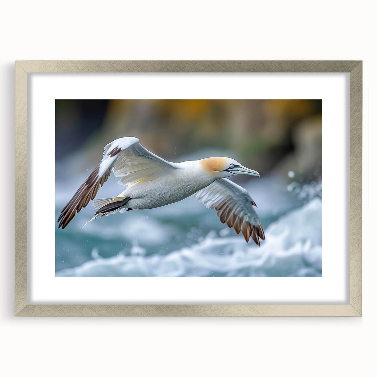 Framed wall art collection showcasing a vibrant sea birds design in a silver frame with matting, perfect for coastal-themed decor, emphasizing nature's beauty.