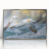 Framed wall art collection featuring elegant sea birds design in silver-acrylic frame, perfect for coastal decor, showcasing vibrant colors and intricate details.