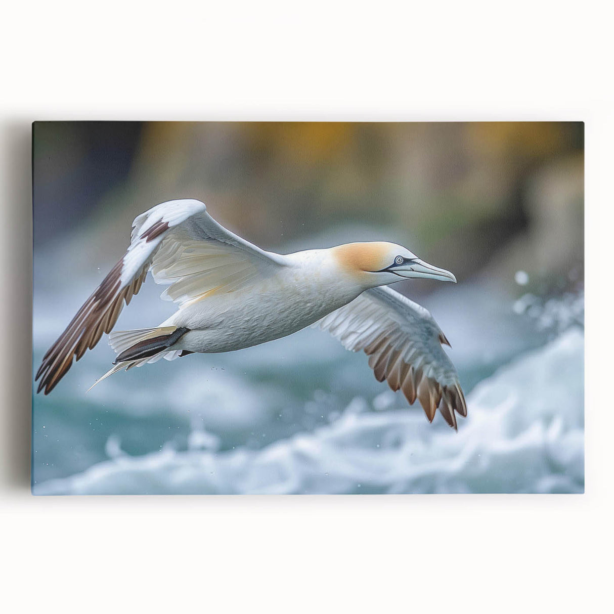 Stretched canvas wall art featuring a vibrant design of colorful sea birds in flight against a serene blue background, perfect for coastal home decor.