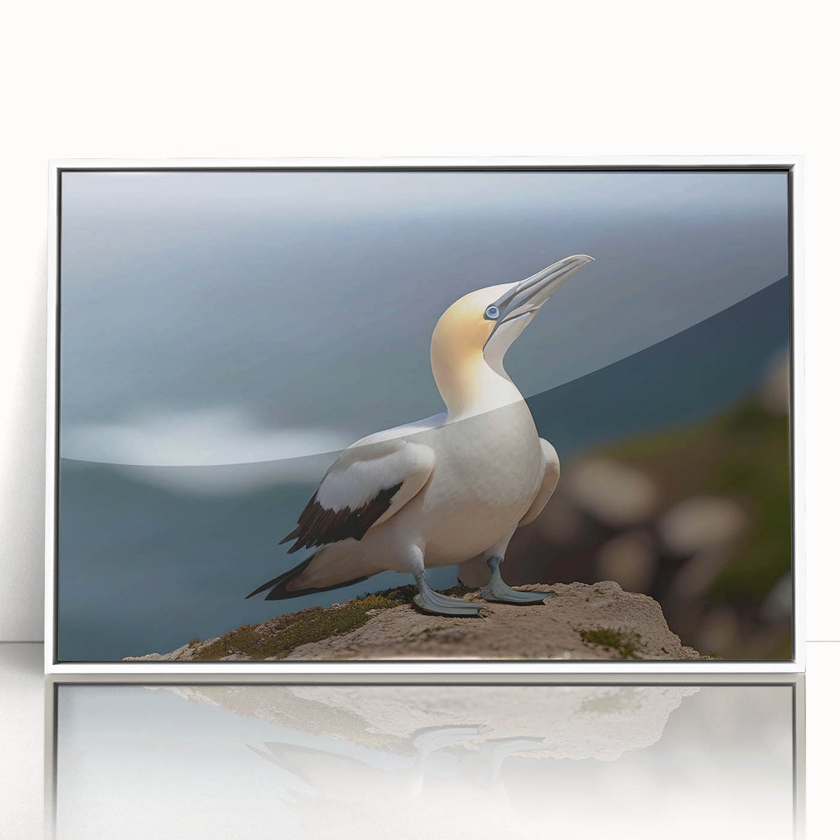 Framed wall art collection showcasing a variety of colorful sea birds in an elegant design, featuring a sleek white frame, perfect for coastal-themed decor.