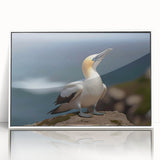 Framed wall art collection showcasing a variety of colorful sea birds in an elegant design, featuring a sleek white frame, perfect for coastal-themed decor.