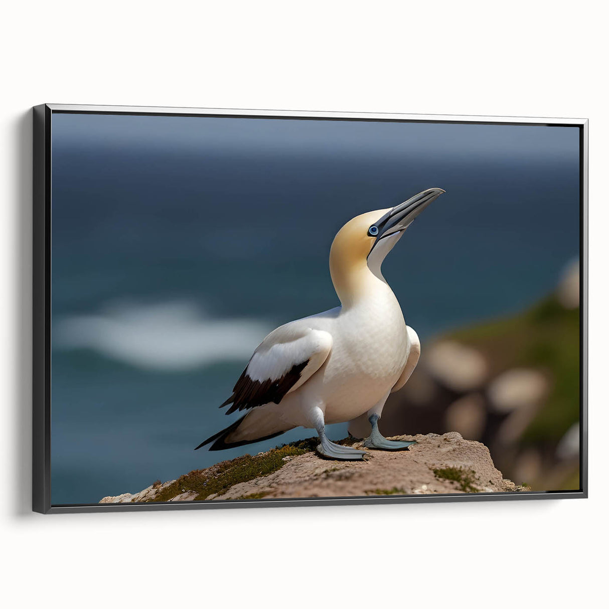 Framed canvas wall art featuring a collection of vibrant sea bird designs, showcasing a black frame and side view to highlight the artwork's detail and texture.