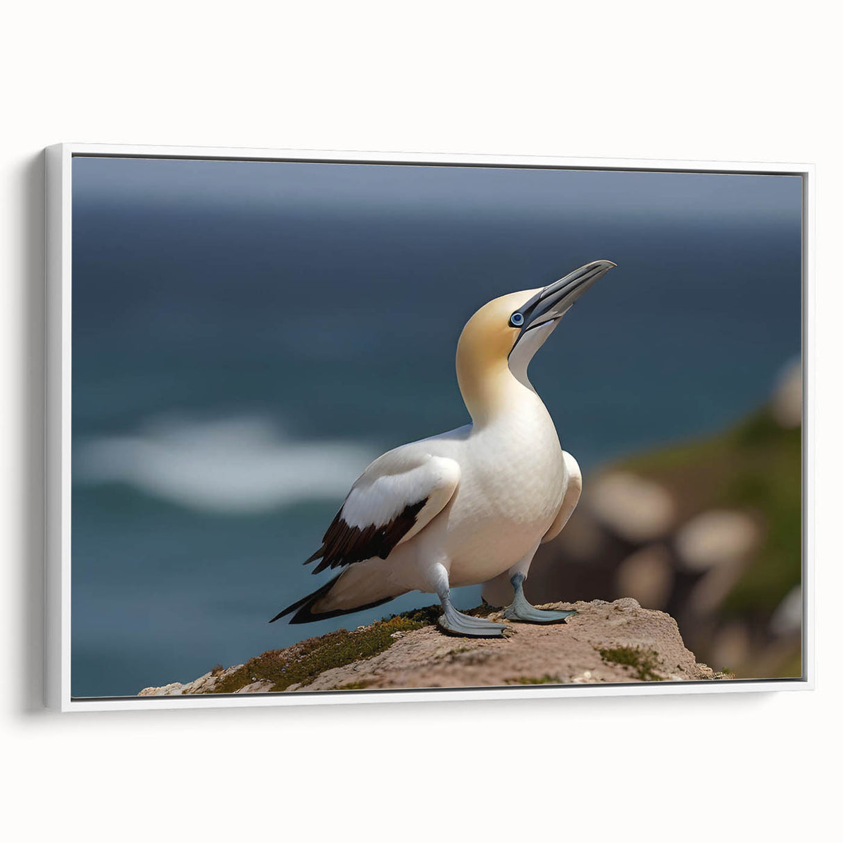 Framed canvas wall art showcasing an elegant design of various sea birds, displayed in a white frame, ideal for coastal home decor. Perfect for nature lovers.