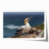 Colorful wall art print showcasing a collection of vibrant sea birds in flight over a serene ocean backdrop, ideal for coastal-themed decor. The design features intricate details that highlight the beauty of marine life, making it a perfect addition to any art collection.