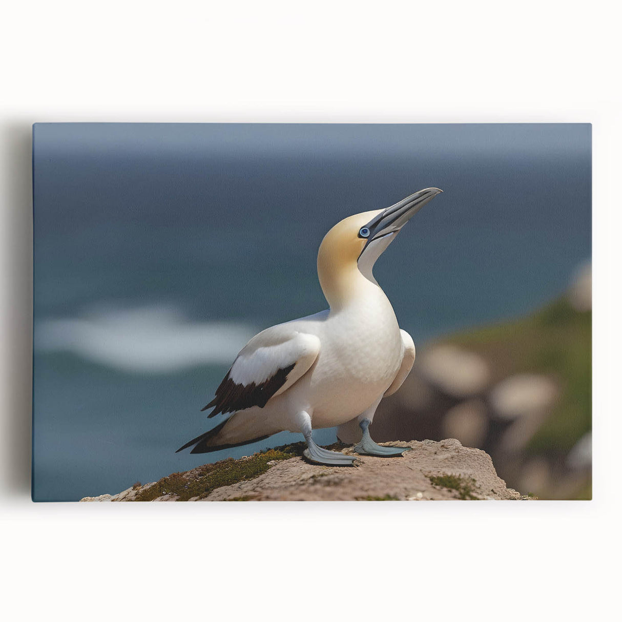 Stretched canvas wall art featuring a vibrant design of various sea birds in flight against a serene ocean backdrop, perfect for coastal-themed decor.