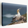 Stretched canvas wall art depicting a vibrant collection of sea birds in various colors, showcasing intricate details and textures, ideal for coastal-themed decor.