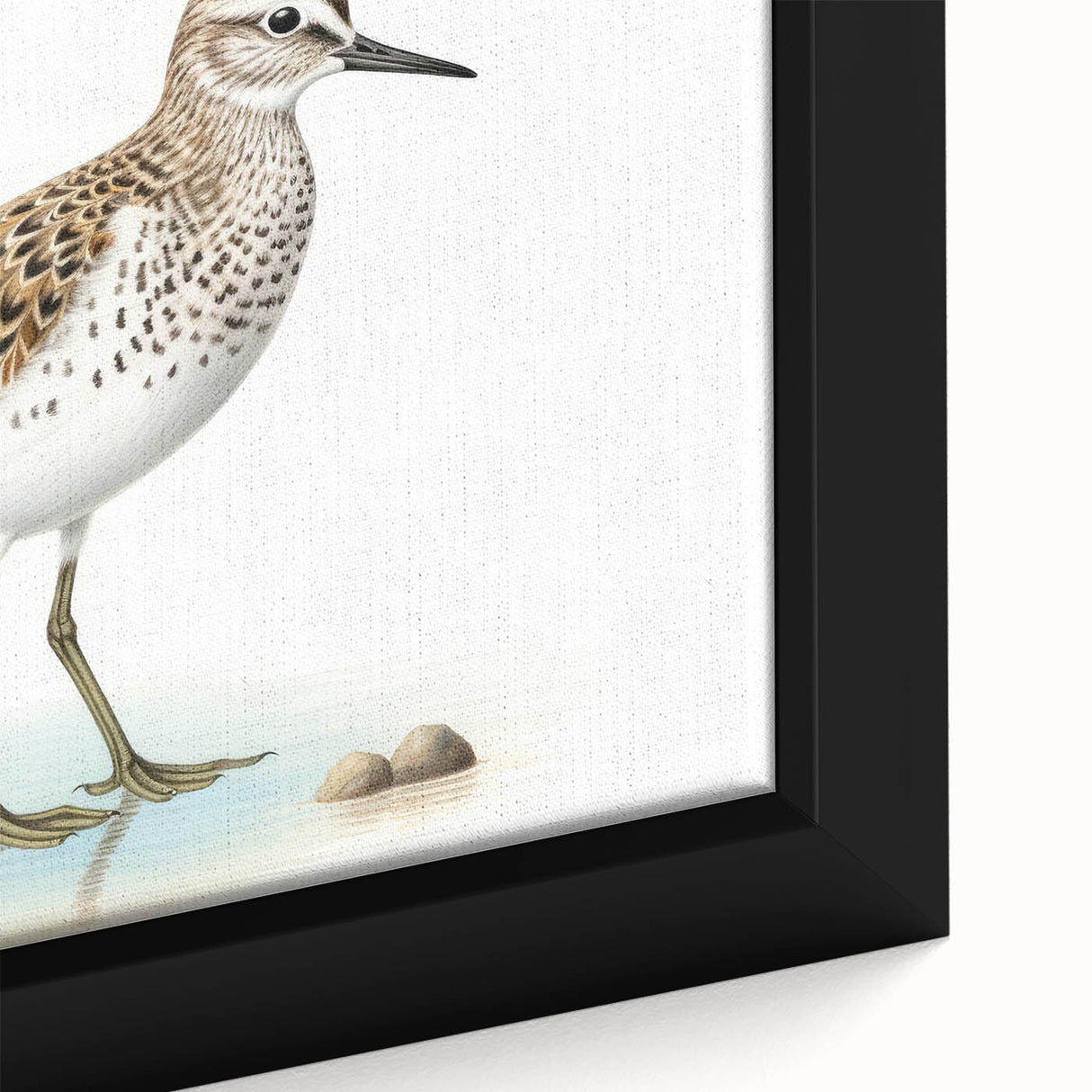 Framed canvas wall art showcasing a vibrant collection of shorebirds in natural colors, highlighting intricate details and textures for an elegant coastal decor accent.