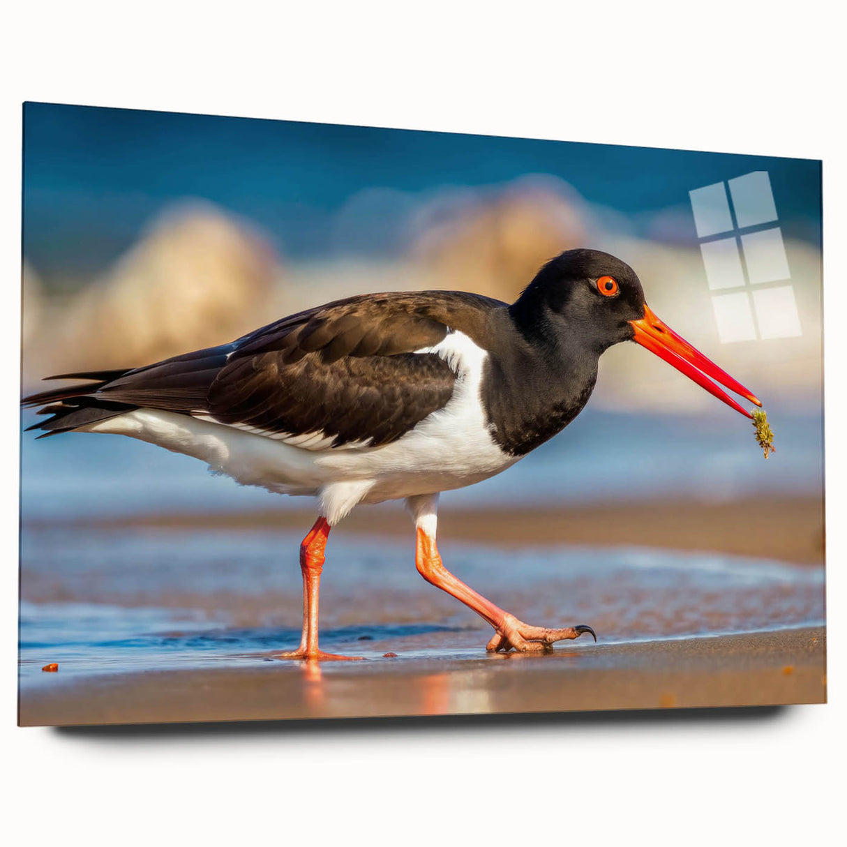 Acrylic glass wall art featuring a vibrant collection of shorebirds in various colors, displayed from a side view, showcasing intricate designs and details.
